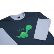 Boys Personalised Dinosaur Applique Long Sleeved Top